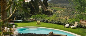 Eco Hotels