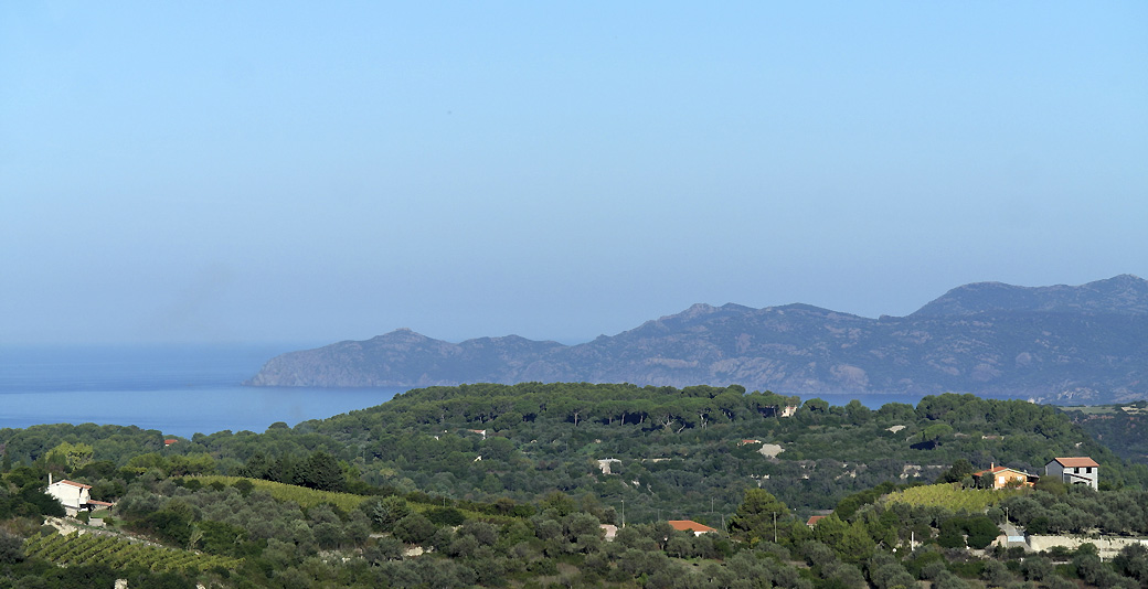 Planargia countryside