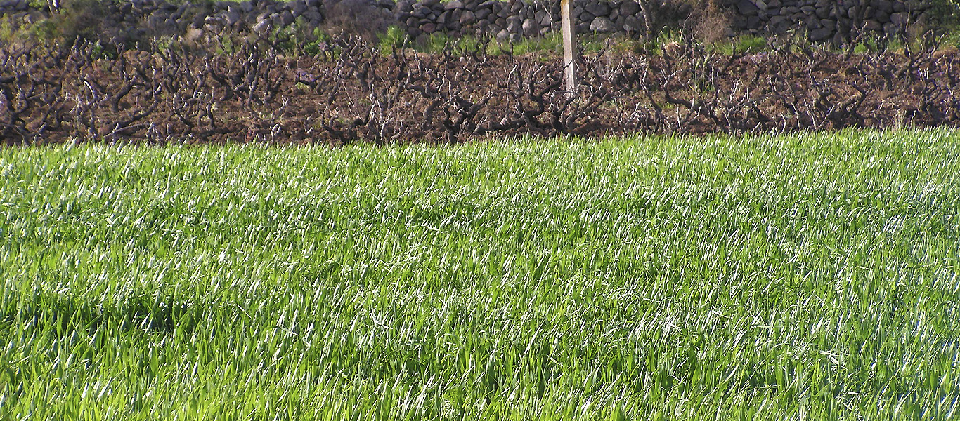 Campagna Teulada